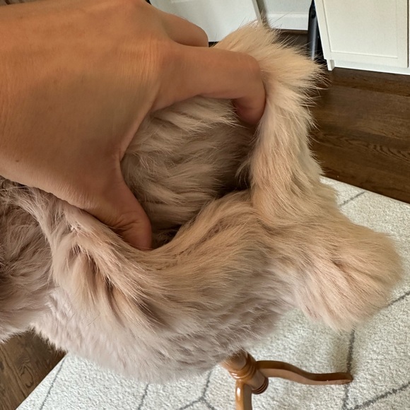 Joie Blush Fur Vest EUC - Picture 6 of 10